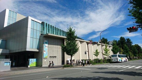 京都大学総合博物館
